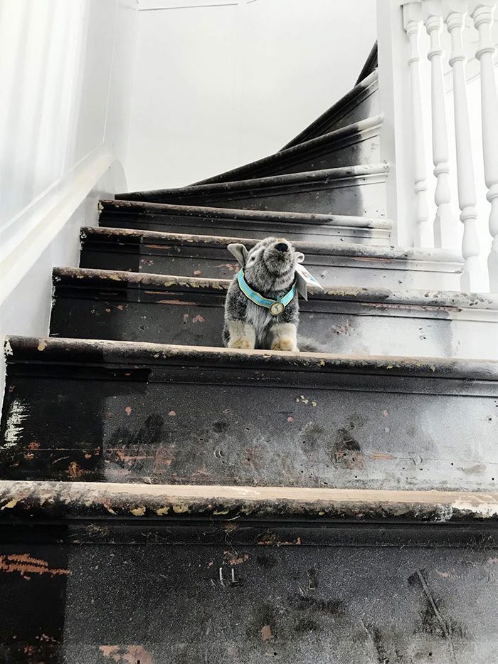 renovating